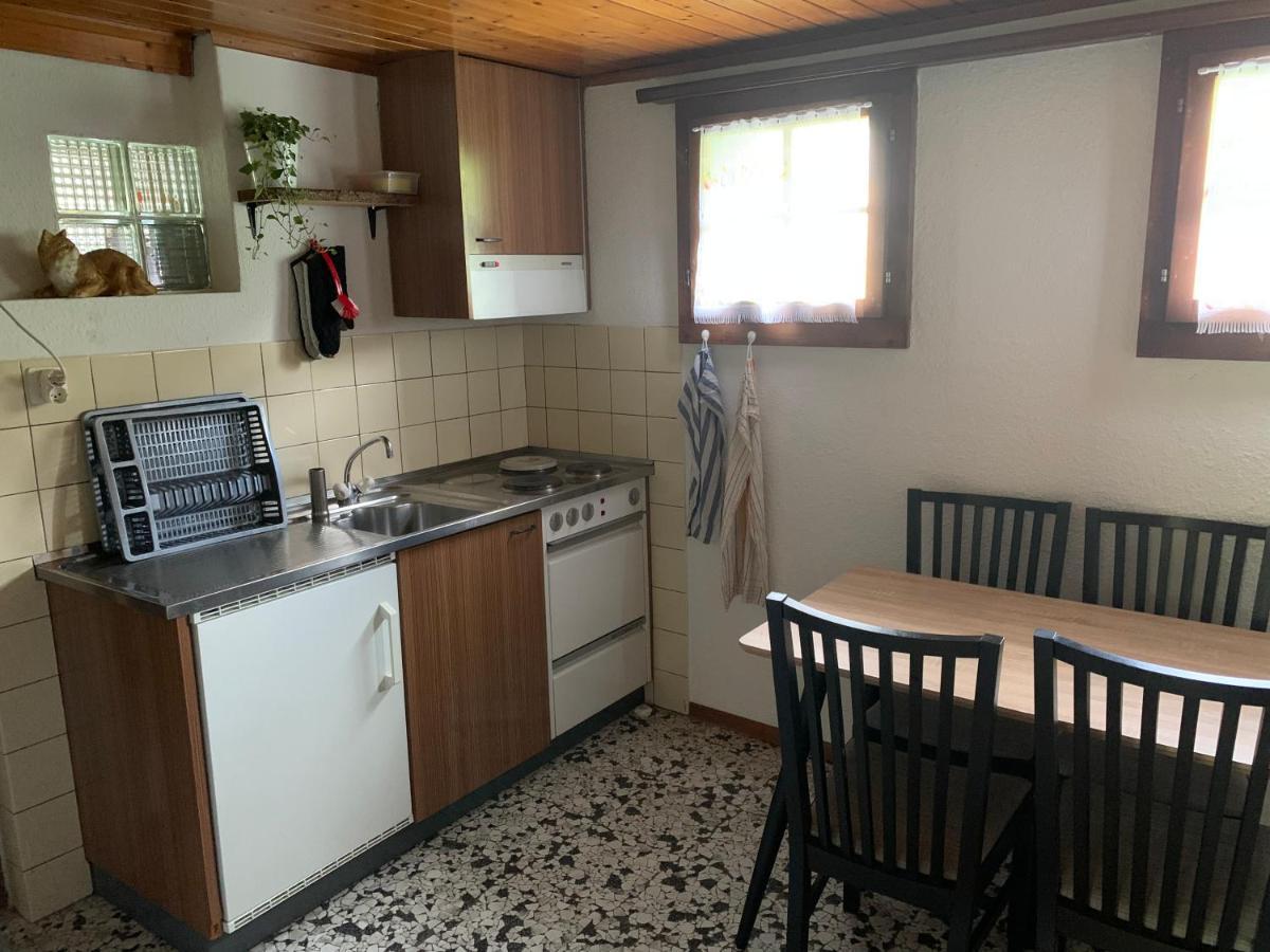 ברינץ Naturnahe Wohnung Fur 1 - 4 Personen מראה חיצוני תמונה
